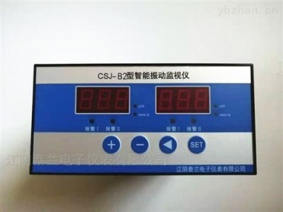 振动监测保护表CSJ-B2型图1